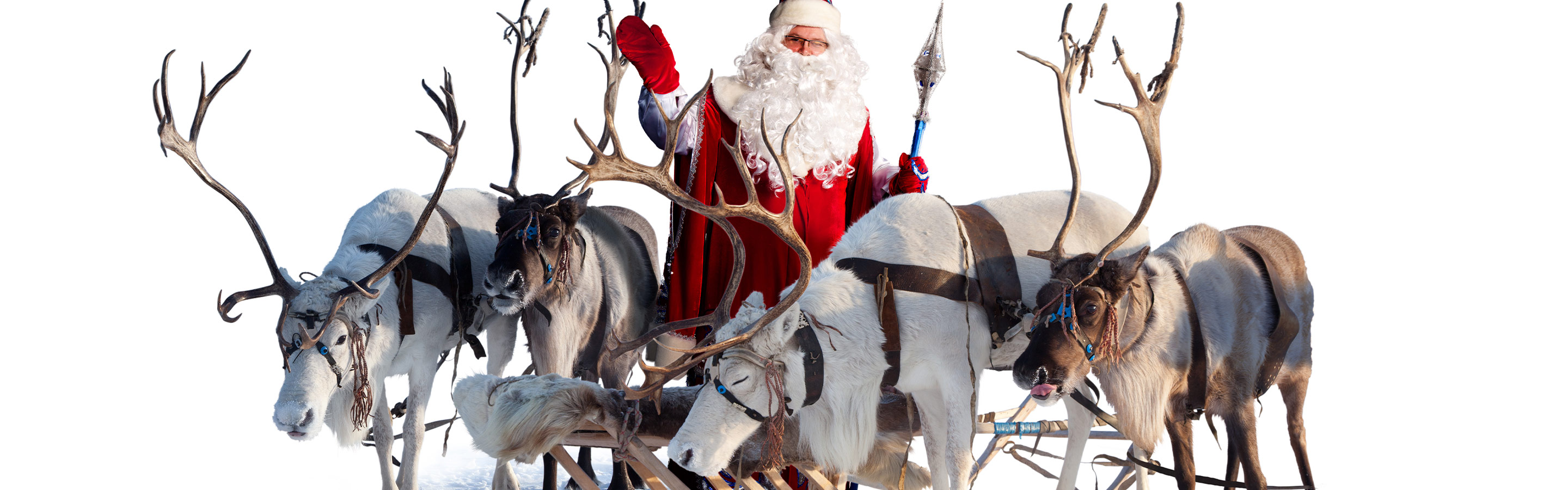 Santa stands with his reindeer