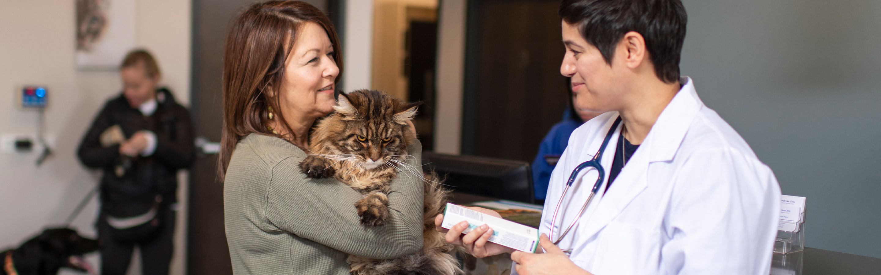 A woman with a pet cat talks with a veterinarian in a veterinary setting.