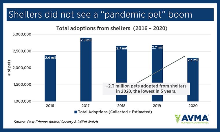 Chart: Shelters did not see a "pandemic pet" boom
