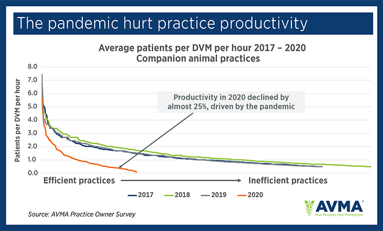 Chart: The pandemic hurt practice productivity