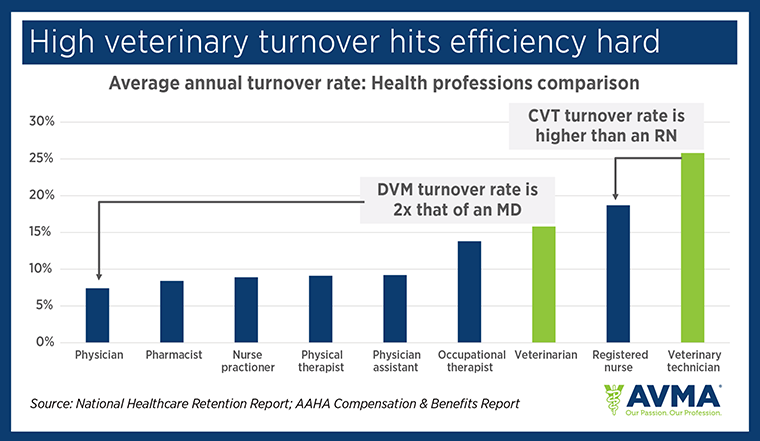 Chart: High veterinary turnover hits efficiency hard