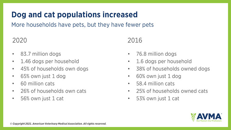 Infographic: Dog and cat populations increased