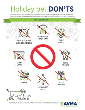 Holiday pet don'ts tips