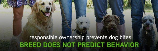 Responsible ownership prevents dog bites - Breed does not predict behavior