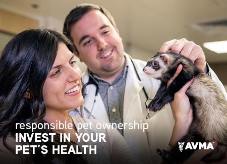 Responsible Pet Ownership - Invest in Your Pet's Health
