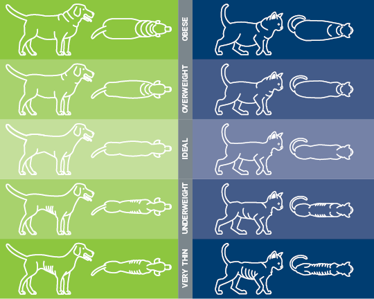 Your pet's healthy weight chart