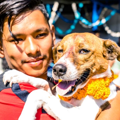 A man holds a dog during a Diwali celebration