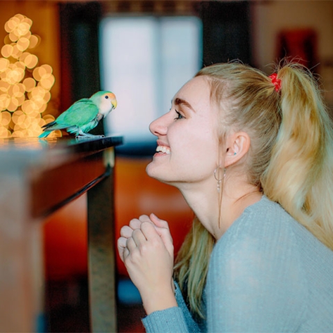A woman looks at her pet bird with holiday lights in the background