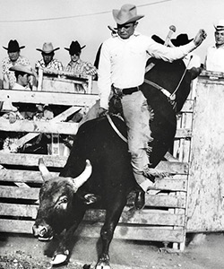 Dr. Le Tourneau riding a black bull with cowboys in the background
