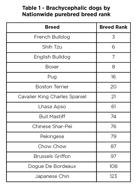 Table: Brachycephalic dogs by Nationwide purebred breed rank