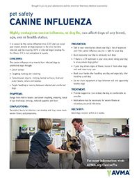 Canine influenza client handout